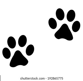 Vector illustration of animals footprints on white background