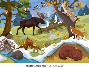 Vector illustration of animals in the forest getting ready for winter