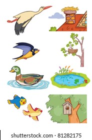 Vector illustration, animals habitat, cartoon concept, white background.