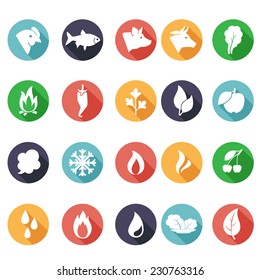 Vector illustration Animals, leaves, fire, frost, steam, water icons. Flat style