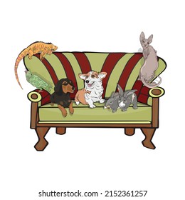 Vector illustration of animals on the chair. Corgi, sphinx, dachshund, iguana, rabbit as a print, logo, blank for designers