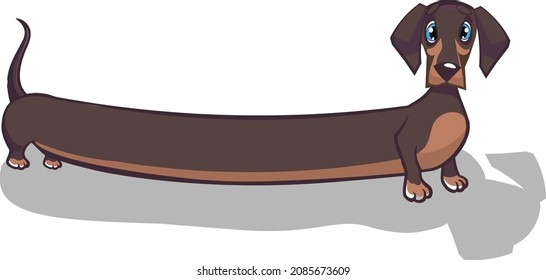 Vector illustration of an animated animal, dachshund