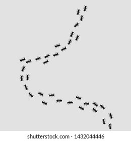 Vector illustration of an ant colony