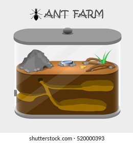 Vector Illustration Of Ant Farm. Empty.