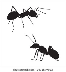 Vector Illustration of Ant Silhouette