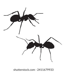 Vector Illustration of Ant Silhouette