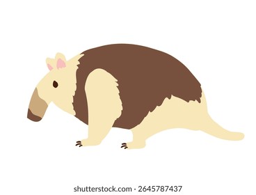 Vector illustration of an anteater.