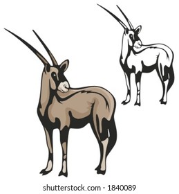 Vector illustration of an antelope.