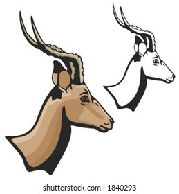 Vector illustration of an antelope.
