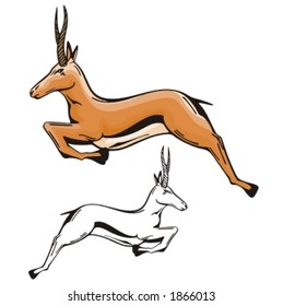 Vector illustration of an antelope.