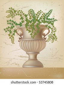 Vector illustration of antique amphora with ivy plant
