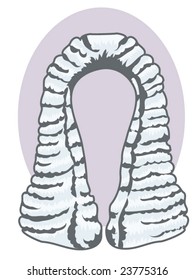 vector illustration of an antique judge's wig