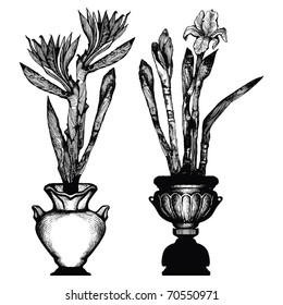 Vector illustration - antique vases with the flowers