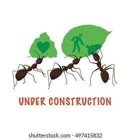 Vector illustration of ants.