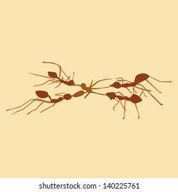 Vector and illustration of ants eat ant