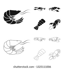 Vector illustration of appetizer and ocean icon. Set of appetizer and delicacy vector icon for stock.