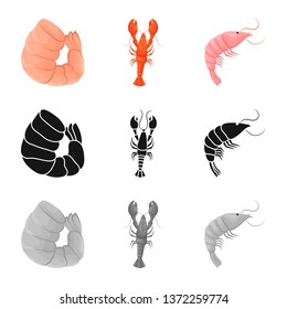 Vector illustration of appetizer and ocean icon. Collection of appetizer and delicacy stock symbol for web.