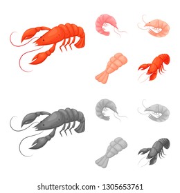 Vector illustration of appetizer and ocean logo. Set of appetizer and delicacy stock symbol for web.