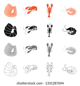 Vector illustration of appetizer and ocean sign. Set of appetizer and delicacy stock vector illustration.