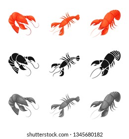 Vector illustration of appetizer and ocean sign. Set of appetizer and delicacy stock symbol for web.