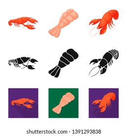 Vector illustration of appetizer and ocean sign. Collection of appetizer and delicacy stock symbol for web.