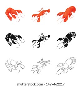 Vector illustration of appetizer and ocean sign. Collection of appetizer and delicacy vector icon for stock.