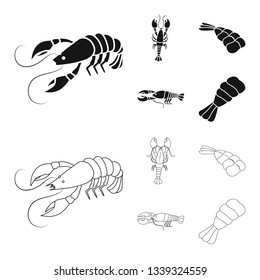 Vector illustration of appetizer and ocean symbol. Collection of appetizer and delicacy stock symbol for web.