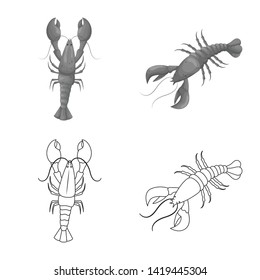 Vector illustration of appetizer and ocean symbol. Collection of appetizer and delicacy stock vector illustration.