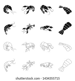 Vector illustration of appetizer and ocean symbol. Collection of appetizer and delicacy vector icon for stock.
