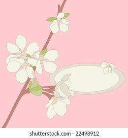 Vector illustration. Apple blossom frame background.