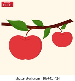
vector illustration of apple fruit in flat style. fresh fruit theme. fruit and vitamins