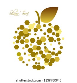 Vector illustration of Apple and honey in honeycombs. Shana Tova - Happy New Year (hebrew)