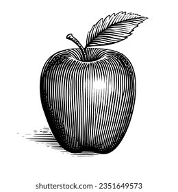 An vector illustration of an apple and leaf in a traditional woodcut style. the leaf, apple and shadow are held on different layers for easy of remove if required. 