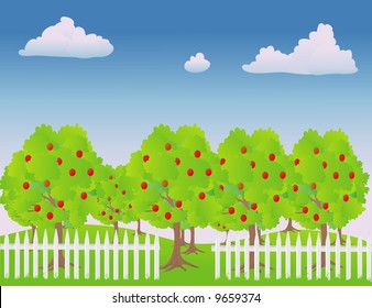 vector illustration of an apple orchard