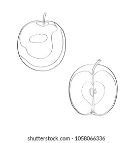 Vector illustration. Apple, sliced apple, half apple. Black line, outline.