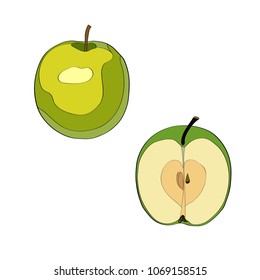 Vector illustration. Apple, sliced apple, half apple. Color image.