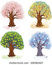 Vector Illustration Apple Tree During Four Stock Vector (Royalty Free ...