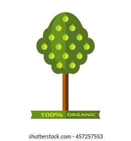 Vector illustration of apple tree with juicy green apples isolated on white background. Flat style.