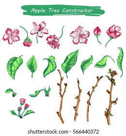 Vector Illustration of Apple tree sketch for Design, Website, Background, Banner. Hand drawn flower Elements. Vintage Spring Template