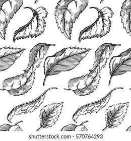 Vector Illustration of Apple tree sketch for Design, Website, Background, Banner. Seamless Pattern
Hand drawn flower Elements. Vintage Spring Template