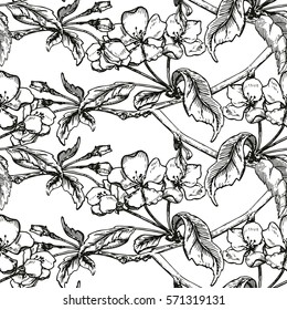 Vector Illustration of Apple tree sketch for Design, Website, Background, Banner. Seamless PatternHand drawn flower Elements. Vintage Spring Template