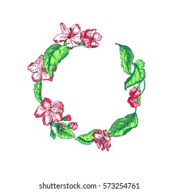 Vector Illustration of Apple tree sketch for Design, Website, Background, Banner.Hand drawn flower Elements. Vintage Spring Template
