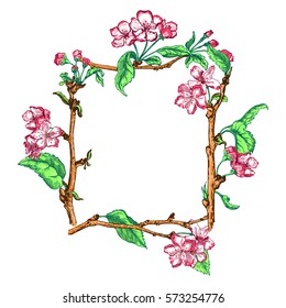 Vector Illustration of Apple tree sketch for Design, Website, Background, Banner.Hand drawn flower Elements. Vintage Spring Template