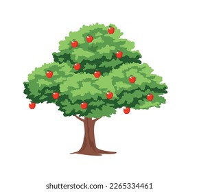 Vector illustration of apple trees