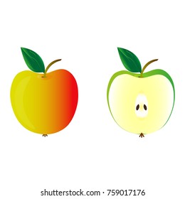 Vector illustration with apple whole and in section. Isolated drawing on white background.
