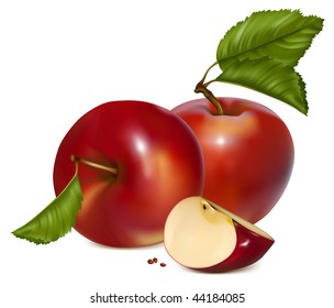 654 Apple fruit vector photo realistic Images, Stock Photos & Vectors ...