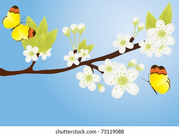 Vector illustration of apple-tree branch with butterflies over it isolated on blue