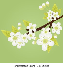 Vector illustration of apple-tree branch with flowers and butterflies fluttering over it