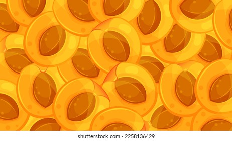 vector illustration of apricot, apricot background, summer fruits, healthy and organic food, poster, banner 