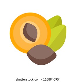 Vector Illustration of Apricot bone. Simple flat icon on a white background.